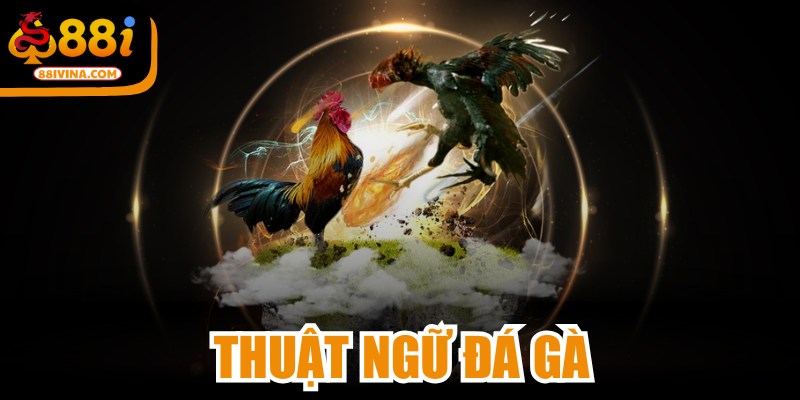 Thuật Ngữ Đá Gà
